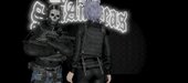 DOA Shizuko Custom Arc.Proj. for Mobile