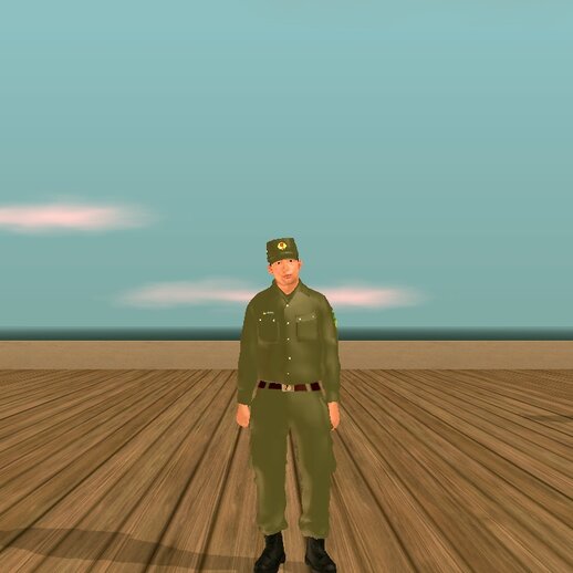 Vietnamese Public Security and Order for Mobile